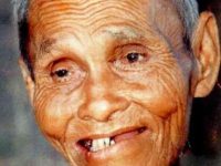 龙婆爽详细介绍