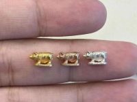 龙婆本2541招财猪