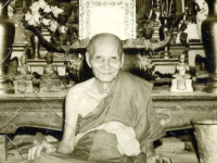 龙婆爹详细介绍